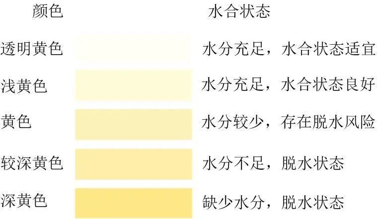 全天营养搭配套餐_每天的营养餐怎么安排_全天营养餐